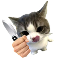 Фрагмент другой студии