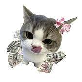 Фрагмент нашей студии